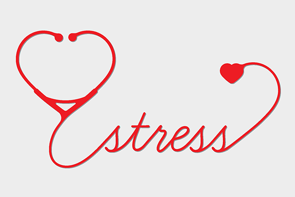 How does stress effect your body